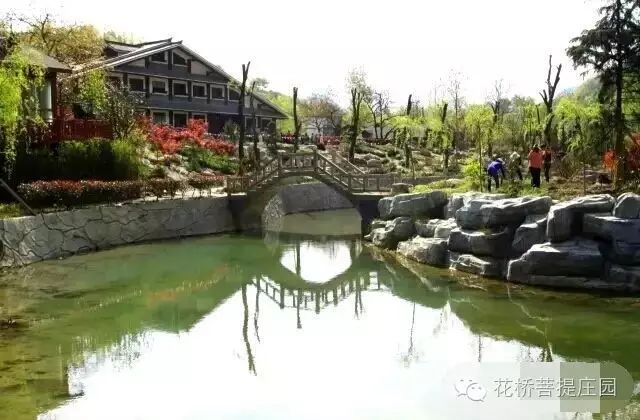 這個周末，隴南康縣花橋有大事要發(fā)生？
