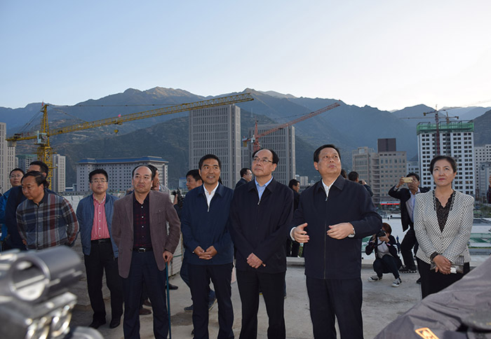 全國(guó)、省市政協(xié)委員體驗(yàn)蘭渝鐵路、視察階州廣場(chǎng)
