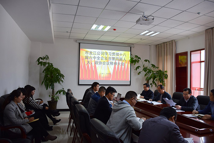 市龍江公司召開全體員工大會，專題傳達學(xué)習(xí)上級會議精神