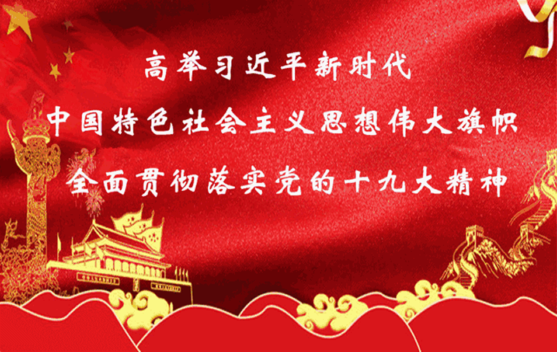 近三十個對外宣介團(tuán)在近八十個國家和地區(qū)精準(zhǔn)傳播十九大精神?